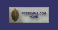 Fossil Sales