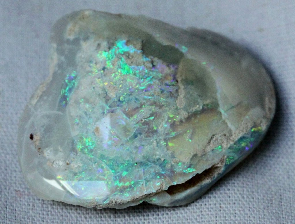 Opalized Cretaceous Bivalve