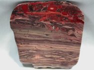 Mesoproterozoic Stromatolites from Western Australia