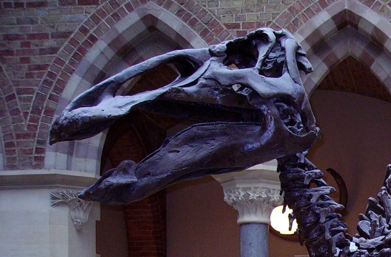 Edmontosaurus Duckbill Dinosaur