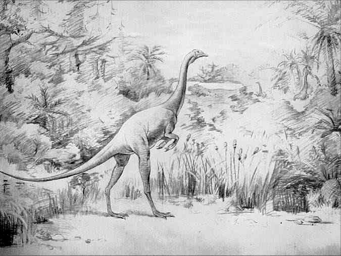 Struthiomimus altus Dinosaurs