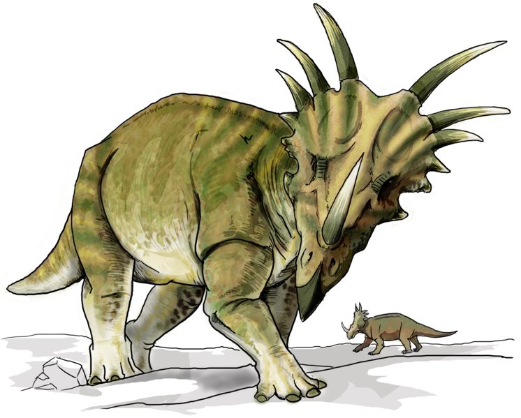 Styracosaur Dinosaurs