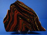 Australian Banded Iron Stromatolite - Tiger Iron