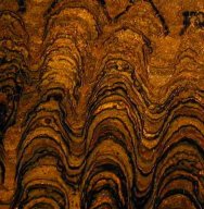 Lower Proterozoic Stromatolite from Bolivia exhibits complex wavy laminae