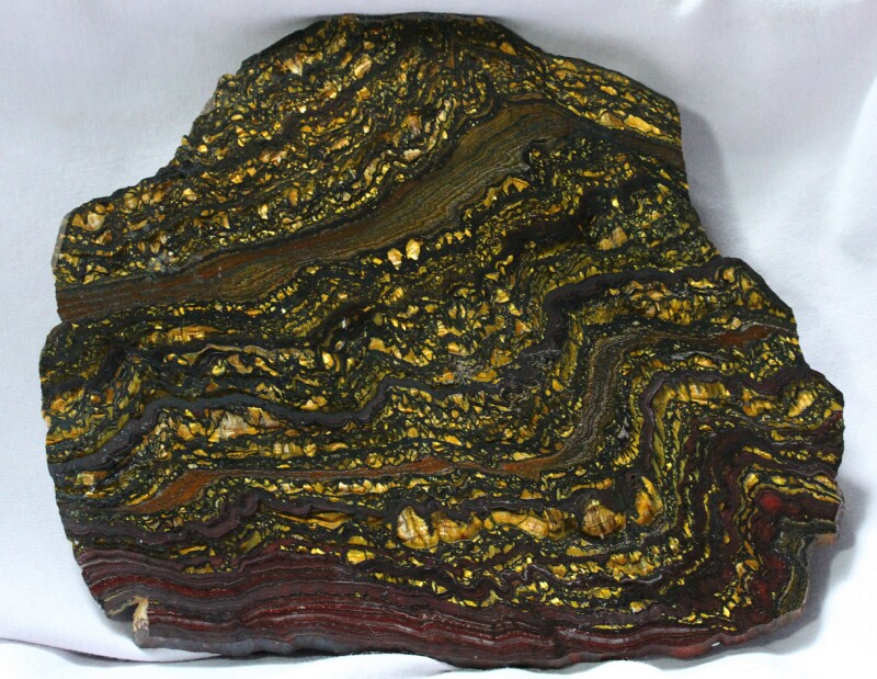 Pilbara Paleoproterozoic Tiger Iron Stromatolite