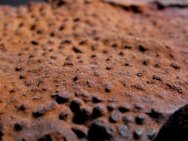 Stromatolites from Iron Eating anaerobes