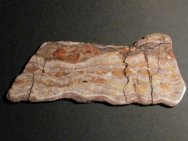 Proterozoic Stromatolite with Rhodochrosite
