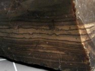 Stromatolites Eocene