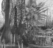 Carboniferous Forest Swamp