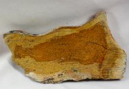 Strelley Pool Archaean Stromatolites