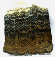 Bolivia Cretaceous Stromatolites