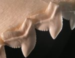 Shark Teeth